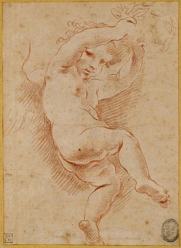 Putto
